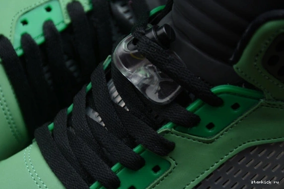 CK6631-307 AIR SE CK6631-307 OREGON JORDAN RETRO 5 1228